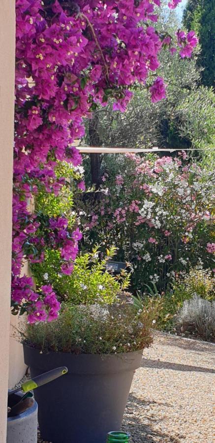 Отель La Bastide Aux Oliviers Туррет-сюр-Лу Экстерьер фото