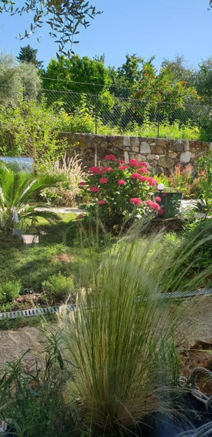 Отель La Bastide Aux Oliviers Туррет-сюр-Лу Экстерьер фото